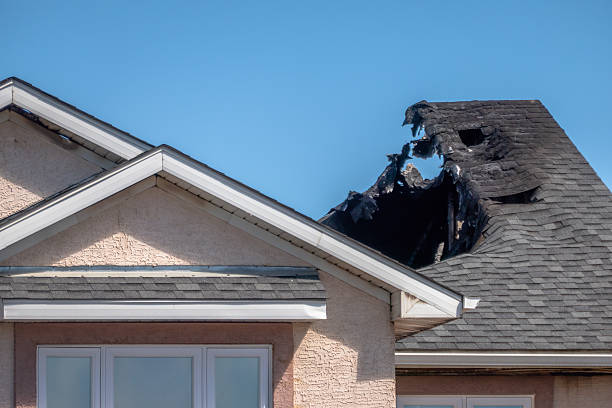 Top rated local Odor Removal specialists in Coppell, TX